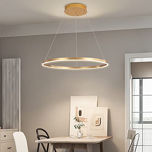 Tatva Lights Aureon Gold Ring LED Chandelier